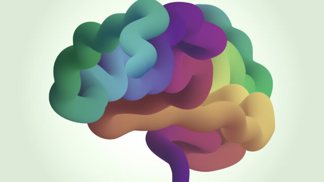 Abstract concepts of well-being dimensions using the human brain